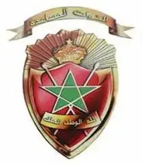 force auxiliaire (1)